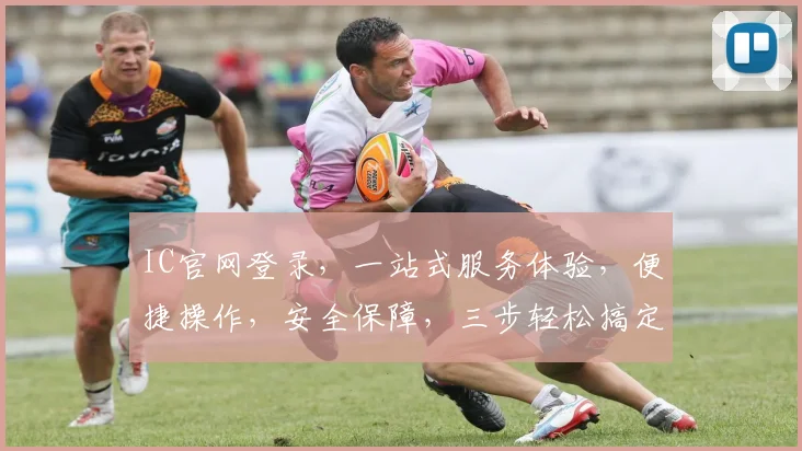 IC官网登录，一站式服务体验，便捷操作，安全保障，三步轻松搞定，快来体验吧