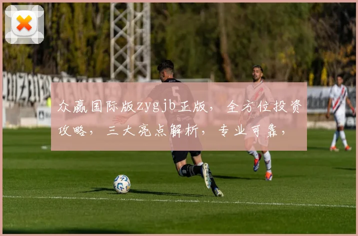 众赢国际版zygjb正版,全方位投资攻略,三大亮点解析,专业可靠,投资必看
